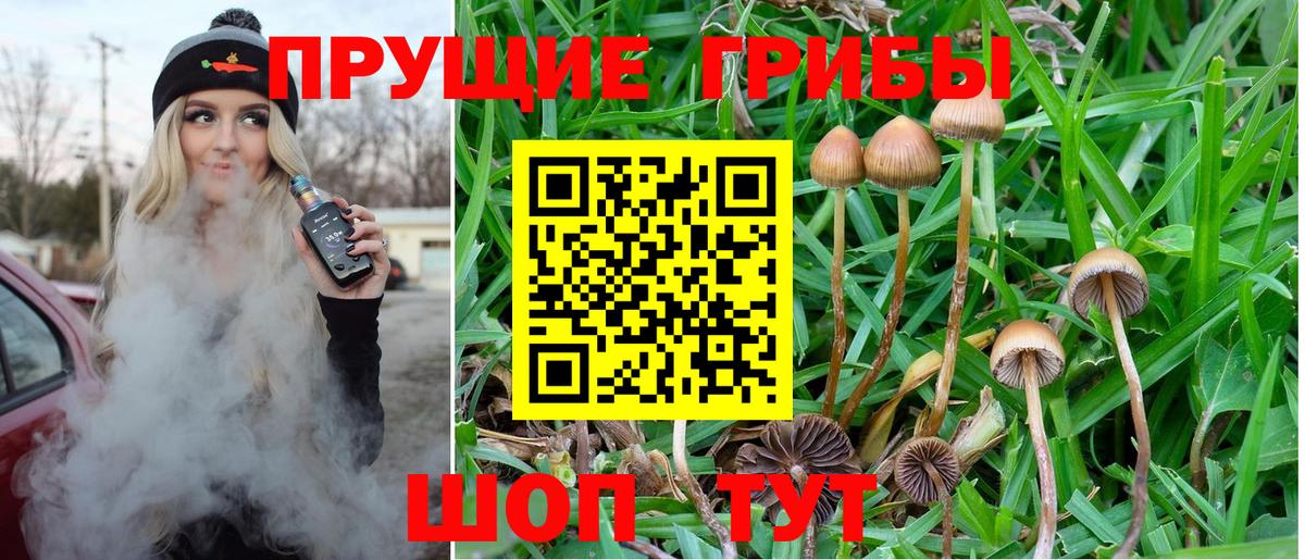 Псилоцибиновые грибы Magic Shrooms  Вход с VPN  Троицк 